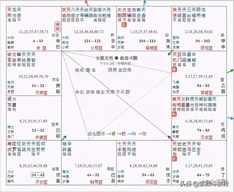 天同|紫微斗數